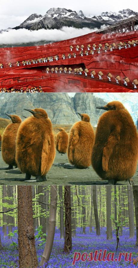 Без фотошопа