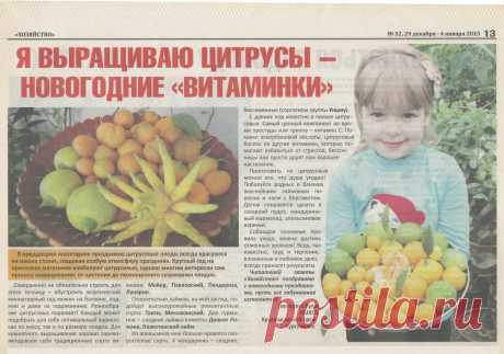 Какие цитрусовые можно вырастить в домашних условиях