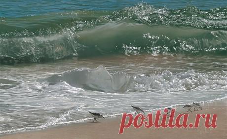 Кажется, обычная фотография… Но увеличь – с ума сойти!