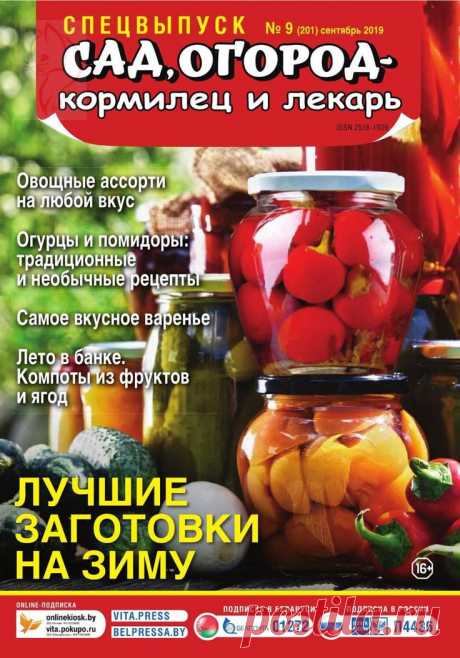Сад, огород - кормилец и лекарь. Спецвыпуск - №9 2019 - Лучшие заготовки на зиму