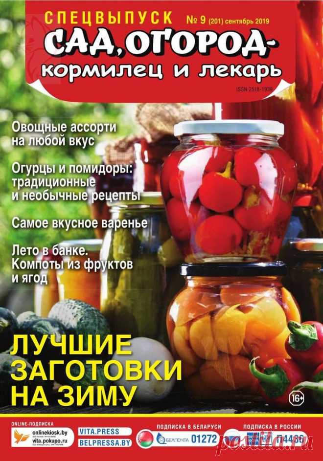 Сад, огород - кормилец и лекарь. Спецвыпуск - №9 2019 - Лучшие заготовки на зиму