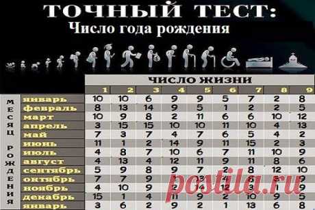 Всё самое интересное!: Число года рождения