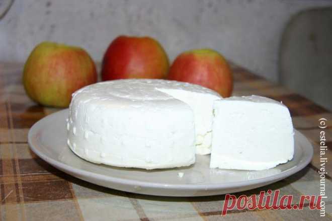 Готовим сычужный осетинский сыр в домашних условиях - Дорога - мой дом