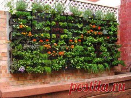 ДАЧНЫЕ ИДЕИ