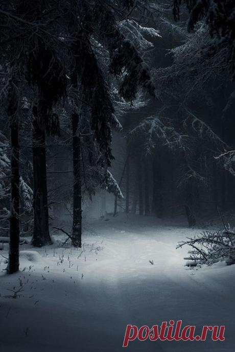 Sleeping Forest https://www.pinterest.com/dcindcmedia…
Moika Palace   |   Pinterest • Всемирный каталог идей