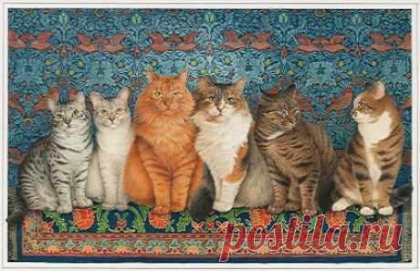 Котики,  какие же они разные.