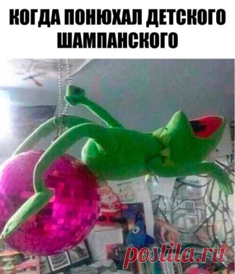 Прикольные картинки - ЛоЛс.ру - Позитивный смешарик