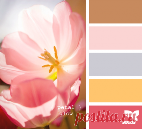 Цветы, деревья — источник вдохновения! | BepHuK собирает друзей