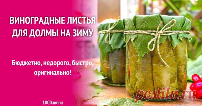 Виноградные листья для долмы на зиму