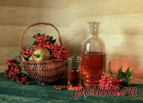 Рябиновый сироп для почек