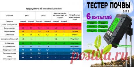 Растения-индикаторы почвы - Сад и огород