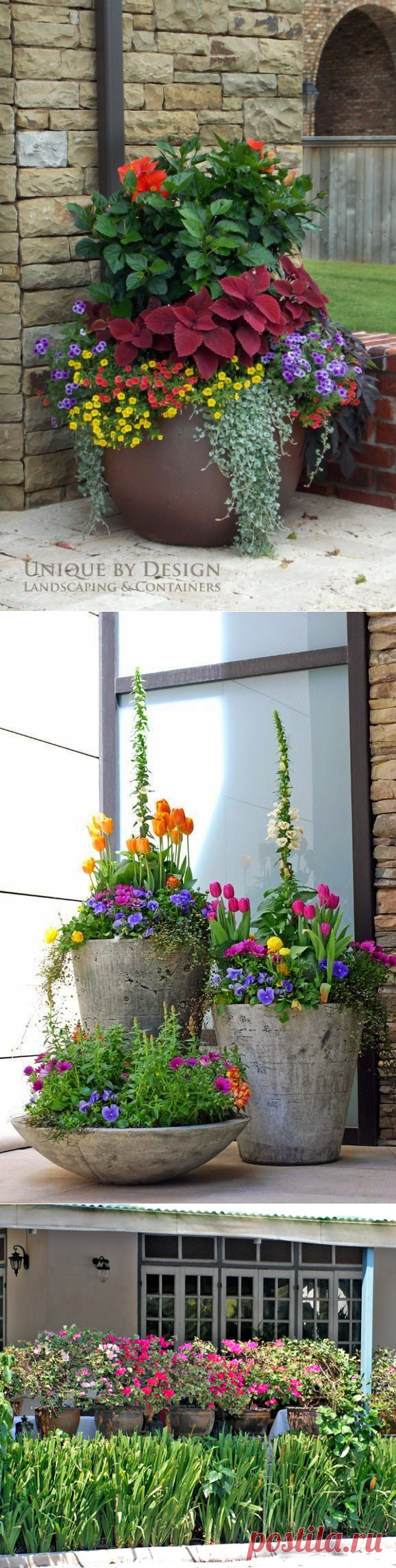 КАК УКРАСИТЬ ДАЧУ РАСТЕНИЯМИ В КАДКАХ. – В РИТМІ ЖИТТЯ