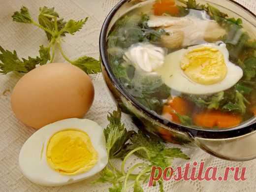 Крапивный суп — самый весенний - Ботаничка.ru