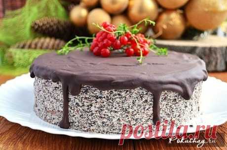 Новогодний торт «Зимний сон»: быстро, вкусно, недорого! 



 





Многие хозяюшки часто отказываются от выпечки к празднику, предпочитая магазинные десерты, но новогодний торт «Зимний сон» - это нечто особенное. Ведь роскошное лакомство делается достаточн…
