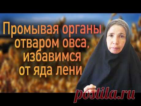 Начинаем детоксикацию тела и души.