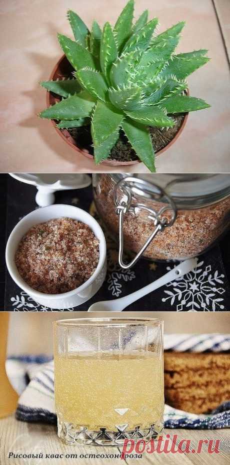 Алоэ
Адыгейская соль
Рисовый квасок для суставов