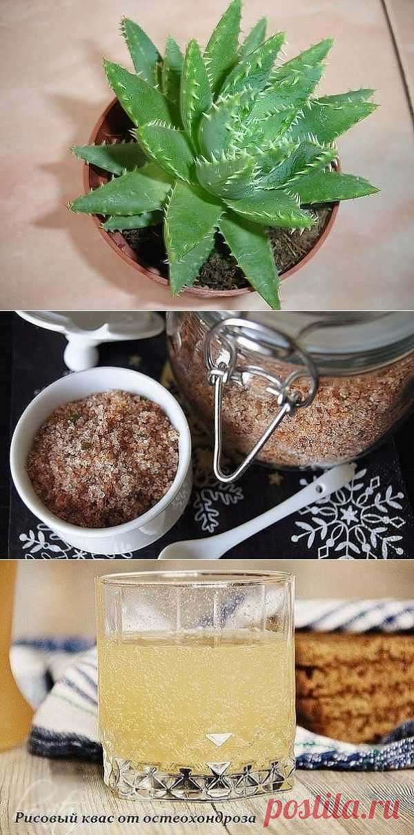 Алоэ
Адыгейская соль
Рисовый квасок для суставов