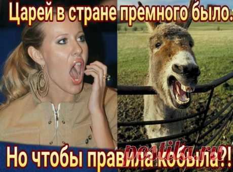 Ну,не кобыла,а ослица,это уж точно!
