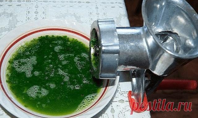 АЛОЕ, МЕД, КАГОР — ЭТА СМЕСЬ “ПОДНИМЕТ” ДАЖЕ МЕРТВОГО 

   Одна очень приятная, энергичная старушка поведала рецепт лечения всего организма составом, где главный компонент – алоэ. Бумажка с описанием куда-то задевалась, стала готовить по памяти. 
Оборвала все листы у двух 4-5 летних растений, промыла их, протерла марлей, срезала шипы и пропустила через мясорубку. Получилось 2 л вместе с мякотью. 
Достала из подпола 3 кг меда, 2 бутылки кагора. Все это слила в чистый эмалир...