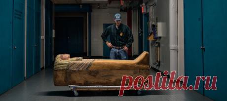 Расхищением гробниц люди занимались еще во времена фараонов. Разграбление и распродажа древностей продолжаются и сегодня: в Египте, Сирии, Камбодже и других странах. Помогает ли незаконная торговля спасти археологические ценности от уничтожения или лишь стимулирует мародерство? Ищем ответ в расследовании National Geographic – этот текст стоит того, чтобы его перечитать. #NGЛонгрид@natgeoru