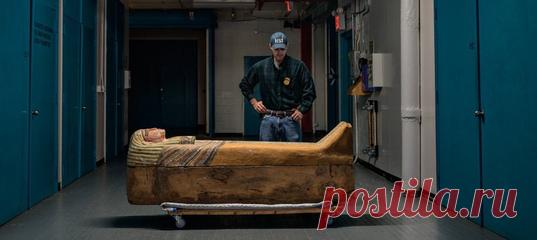 Расхищением гробниц люди занимались еще во времена фараонов. Разграбление и распродажа древностей продолжаются и сегодня: в Египте, Сирии, Камбодже и других странах. Помогает ли незаконная торговля спасти археологические ценности от уничтожения или лишь стимулирует мародерство? Ищем ответ в расследовании National Geographic – этот текст стоит того, чтобы его перечитать. #NGЛонгрид@natgeoru