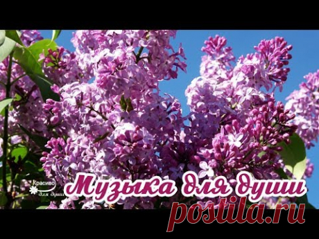 НЕВЕРОЯТНО КРАСИВАЯ МУЗЫКА ДЛЯ ДУШИ! Эту музыку можно слушать вечно!
