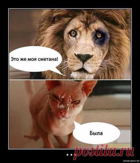 Улыбнись!