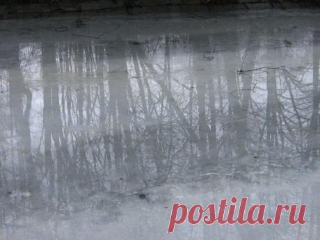 Жить интересно!