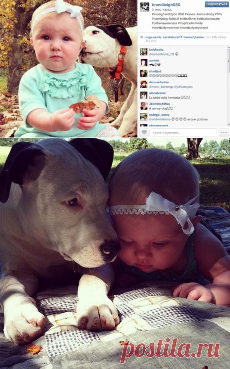 Малыши, которые покорили нас в 2014 году (фото) - Новости - Дети Mail.Ru