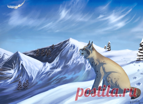 Фото Рысь смотрит на летящую в небе арктическую сову, художниу Klissie, страница