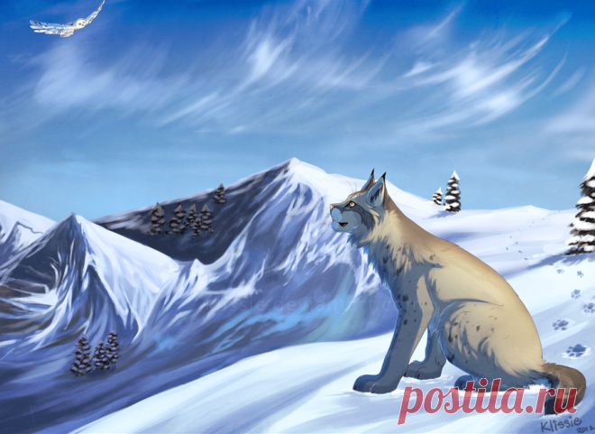 Фото Рысь смотрит на летящую в небе арктическую сову, художниу Klissie, страница