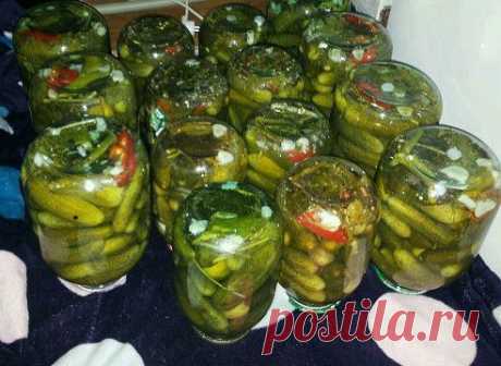 Ландшафтный дизайн – анна кисничан добавила фотографию в альбом 36.Садовые КОМПОЗИЦИИ (группы...