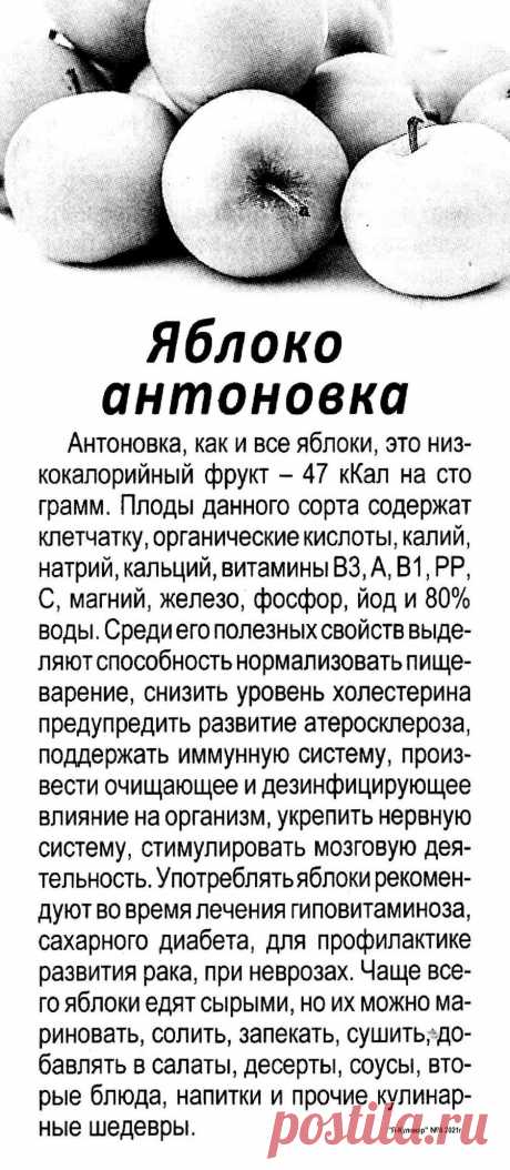 Яблоко антоновка - полезные свойства