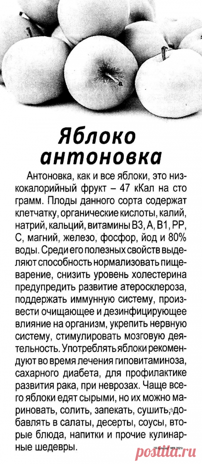 Яблоко антоновка - полезные свойства