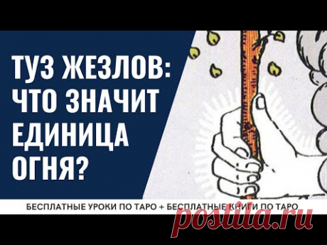 ТУЗ ЖЕЗЛОВ - Младший аркан - ПОДРОБНЫЙ разбор / ОБУЧЕНИЕ ТАРО БЕСПЛАТНО 👌