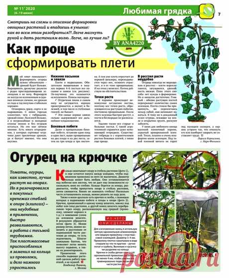 Как проще сформировать плети огурцов