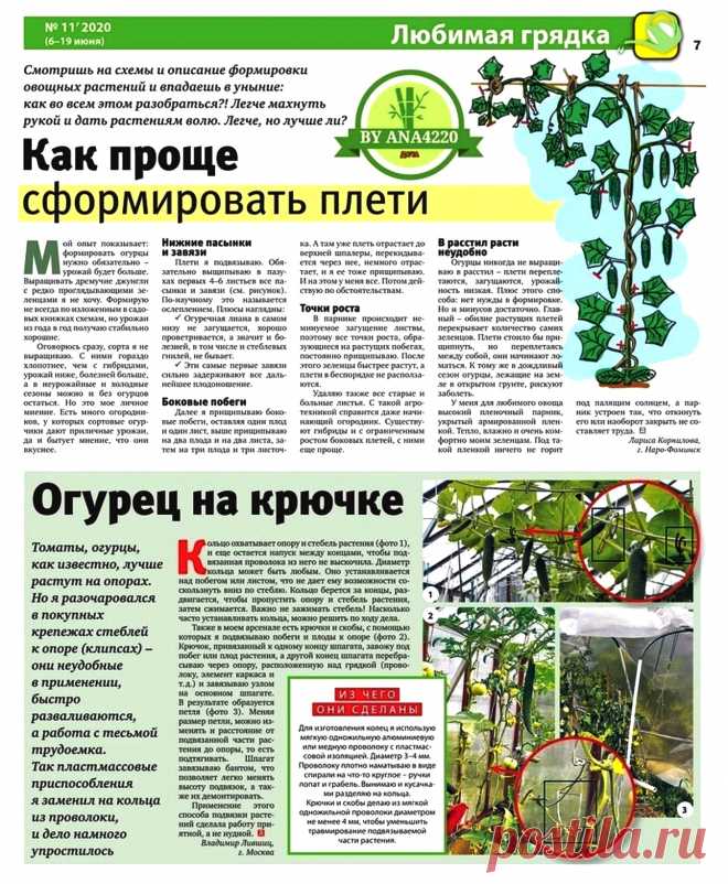 Как проще сформировать плети огурцов