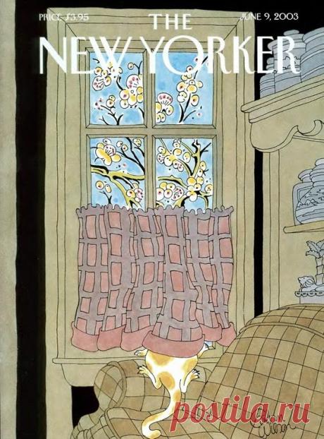 Cats On Magazine Covers
