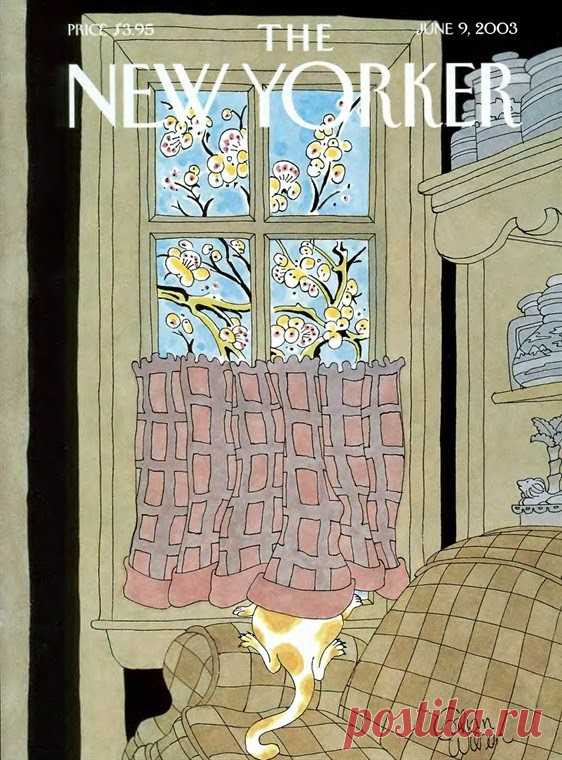 Cats On Magazine Covers
