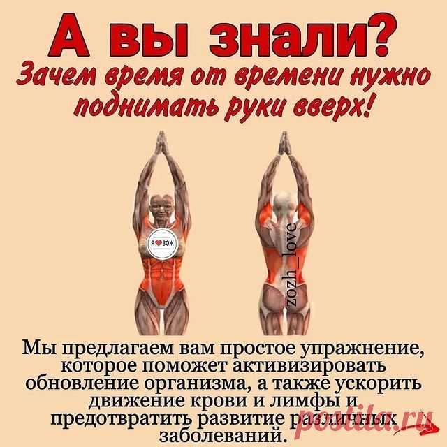 Дрyзья,кому не сложно, оставьте 1 цветочек 🌹🌺🌸🌼🌻🌷💐 в коментах, чтобы я вас всех видела 😘

Я всегда благодарна вашей поддержке лaйкoм❤️❤️❤️

☝Полезно поднимать руки вверх

Естественное положение рук человека — опущенные вниз. Но, как утверждают физиотерапевты, очень полезно в течение дня поднимать их вверх.

1️⃣ Во-первых, при поднятых руках желудочно-кишечный тракт становится менее извилистым, что способствует быстрому прохождению пищи. Таким образом происходит ...