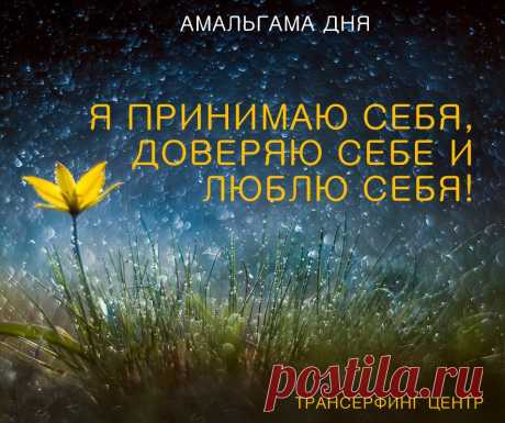 АМАЛЬГАМА ДНЯ