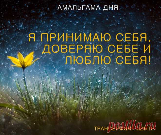 АМАЛЬГАМА ДНЯ