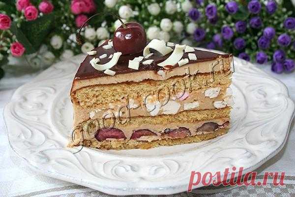 Пышный медовый торт с зефиром и творожным кремом. Рецепт приготовления