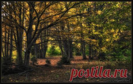 35PHOTO - Александр Круль - Под сенью осенней...