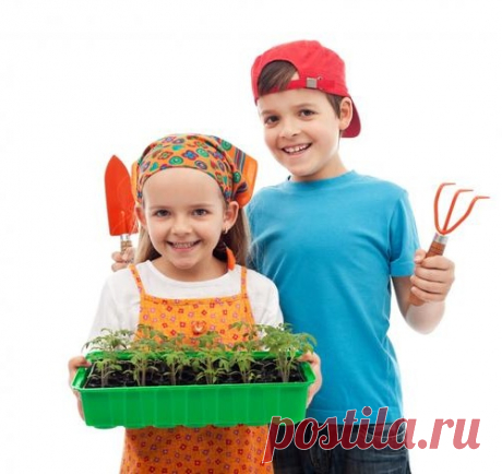 15 самых серьезных ошибок при выращивании рассады