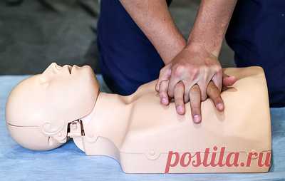 Для обучения школьников навыкам первой помощи предложили приглашать бойцов СВО. Такое обучение должно идти непрерывно, считает первый зампред комитета Госдумы по охране здоровья Бадма Башанкаев