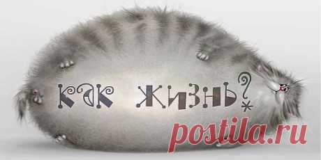 19 золотых правил жизни -  zaripowa.aniuta — я.ру