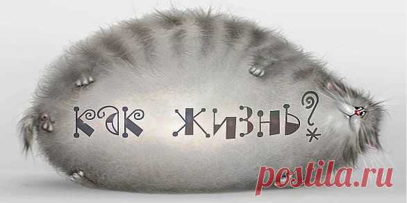 19 золотых правил жизни -  zaripowa.aniuta — я.ру
