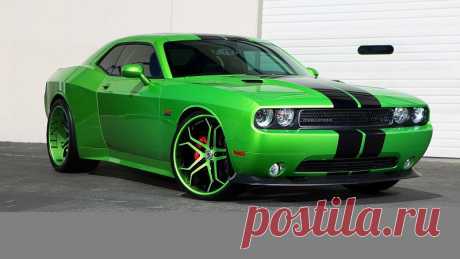 Dodge