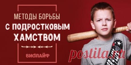 Методы борьбы с подростковым хамством